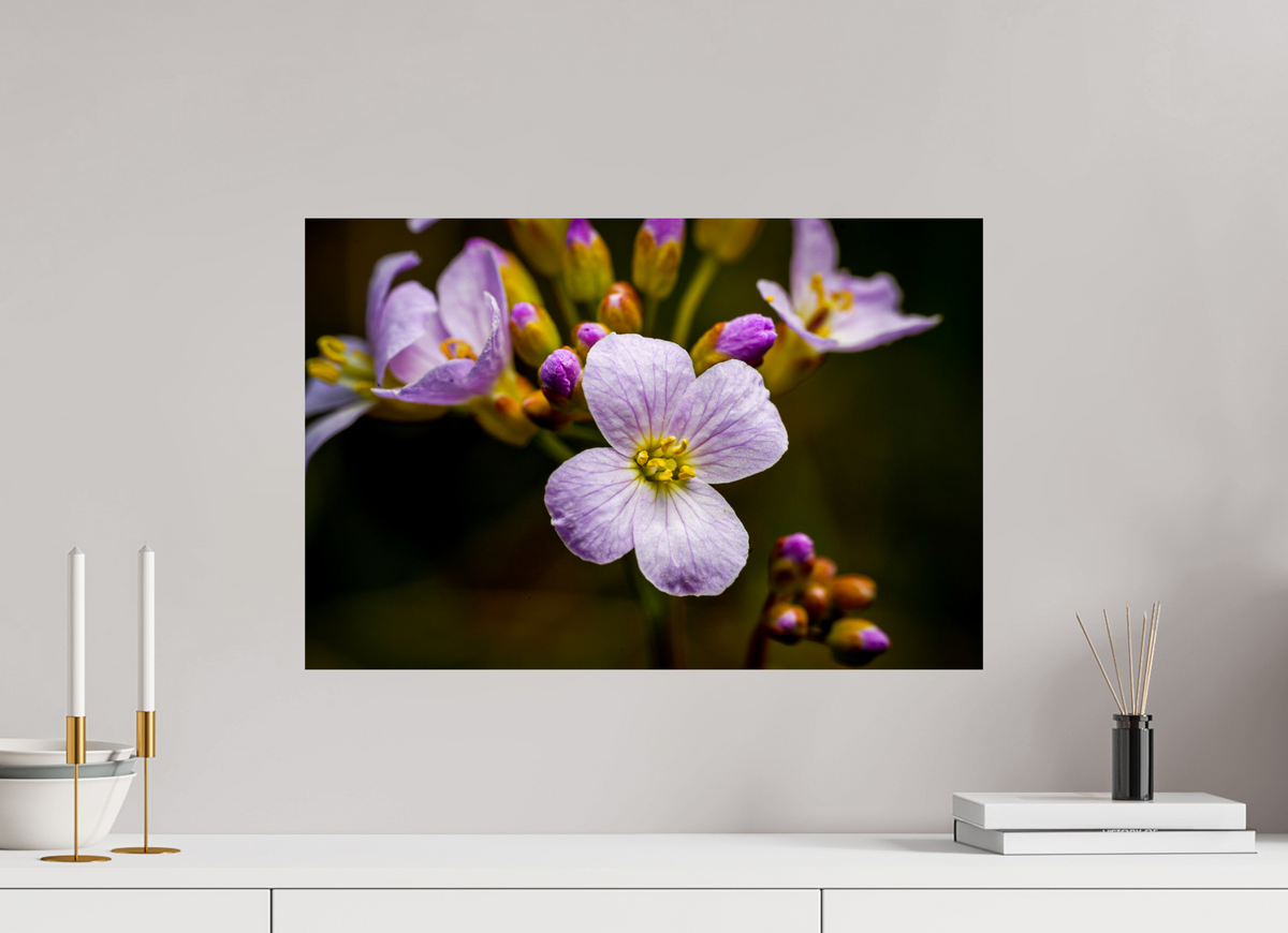 60 x 40 cm, Tirage photo métallisé sur papier Fuji Crystal Pearl Fleurs en poésie