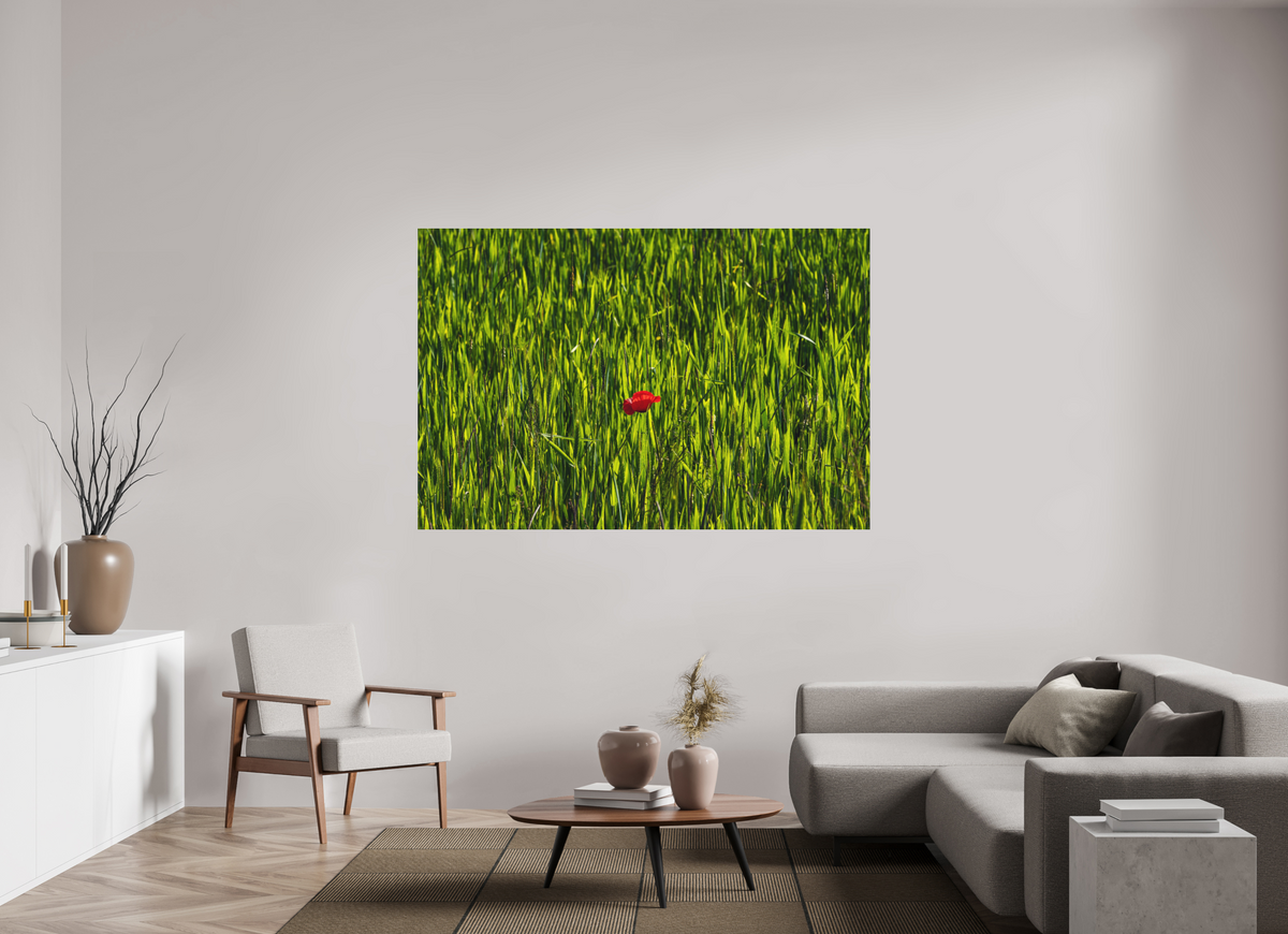 180 x 120 cm, Impression pigmentaire Fine Art sous plexi s
