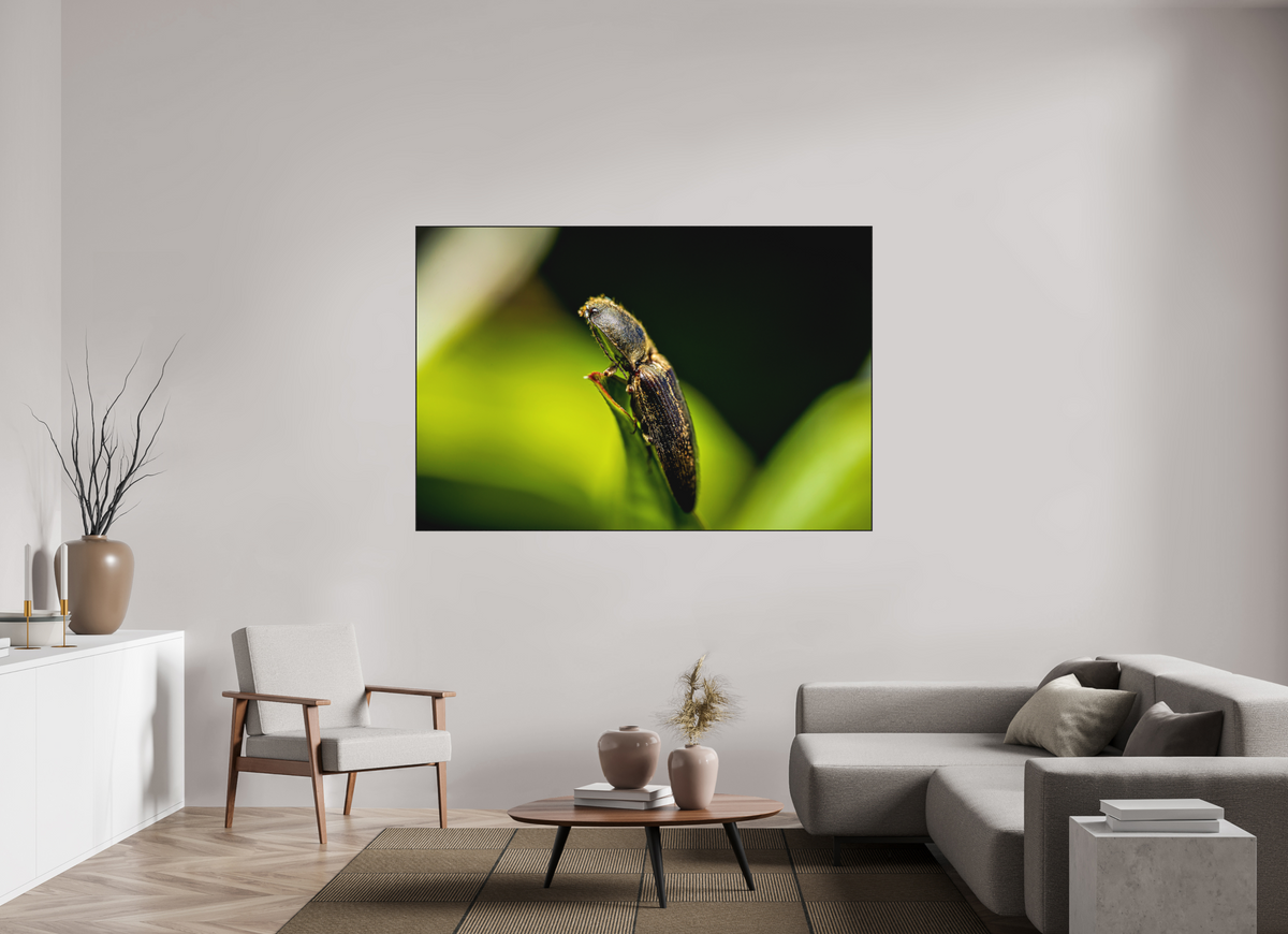 180 x 120 cm, Impression pigmentaire Fine Art sous plexi avec ArtBox en chêne massif noir 4mm ad
