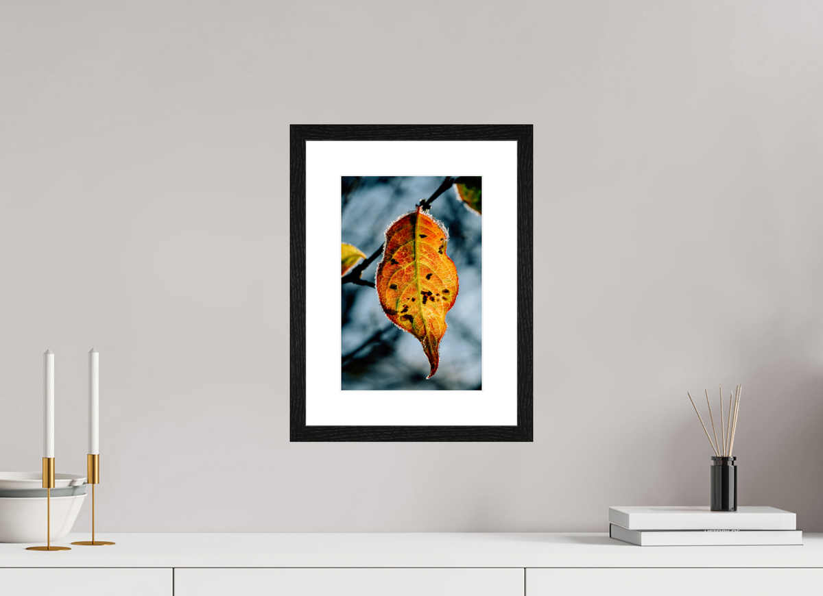 20 x 30 cm, Tirage photo métallisé sur papier Fuji Crystal Pearl avec cadre Hambourg 20mm, chêne noir Feuille orange d'hiver