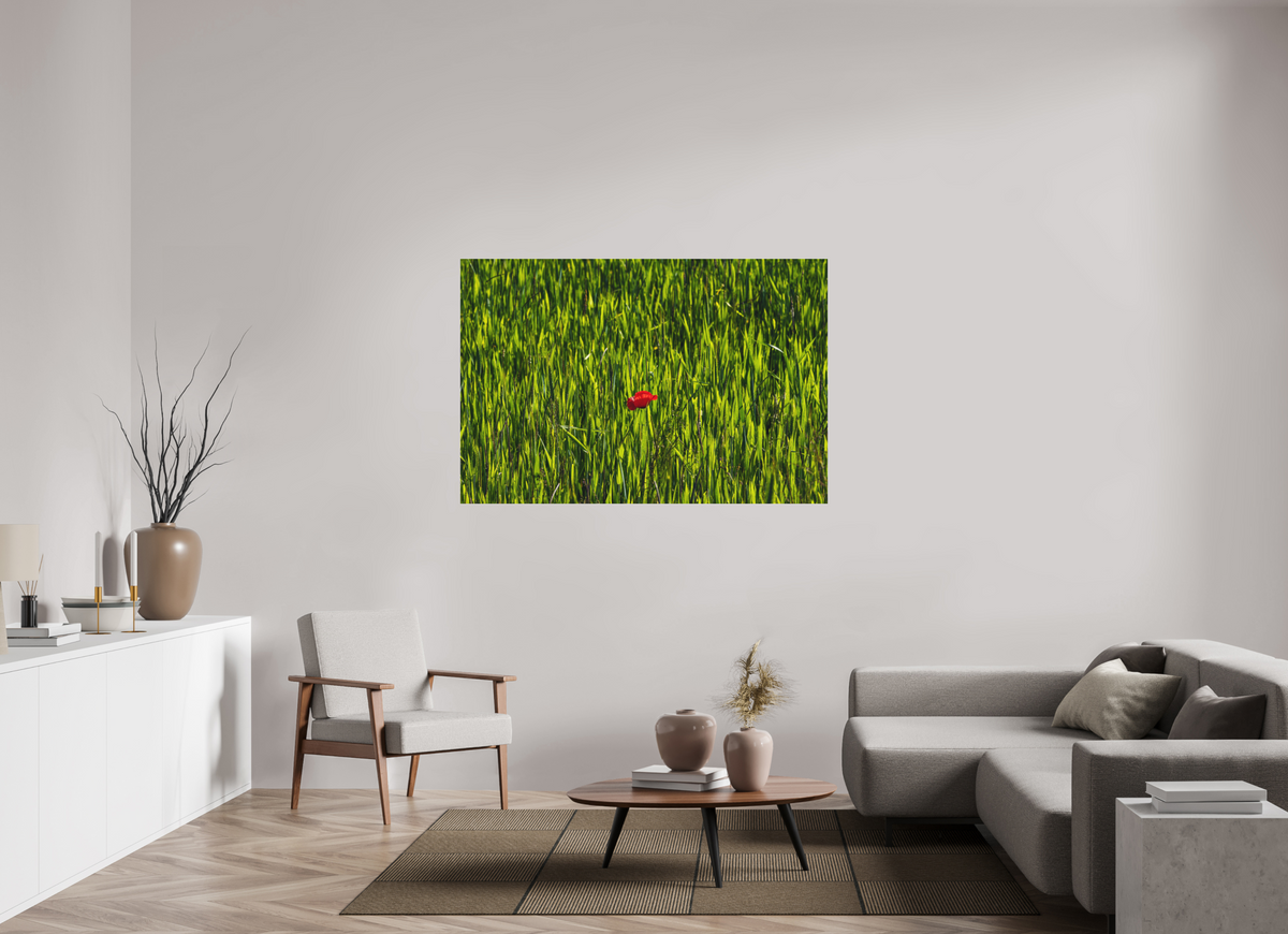 150 x 100 cm, Impression pigmentaire Fine Art sous plexi s