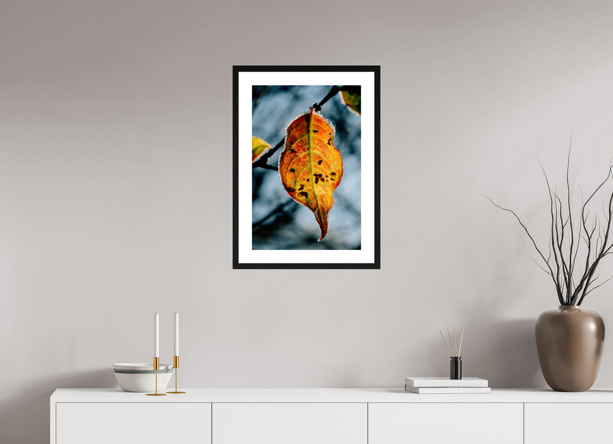 40 x 60 cm, Tirage photo métallisé sur papier Fuji Crystal Pearl avec cadre Hambourg 20mm, chêne noir Feuille orange d'hiver