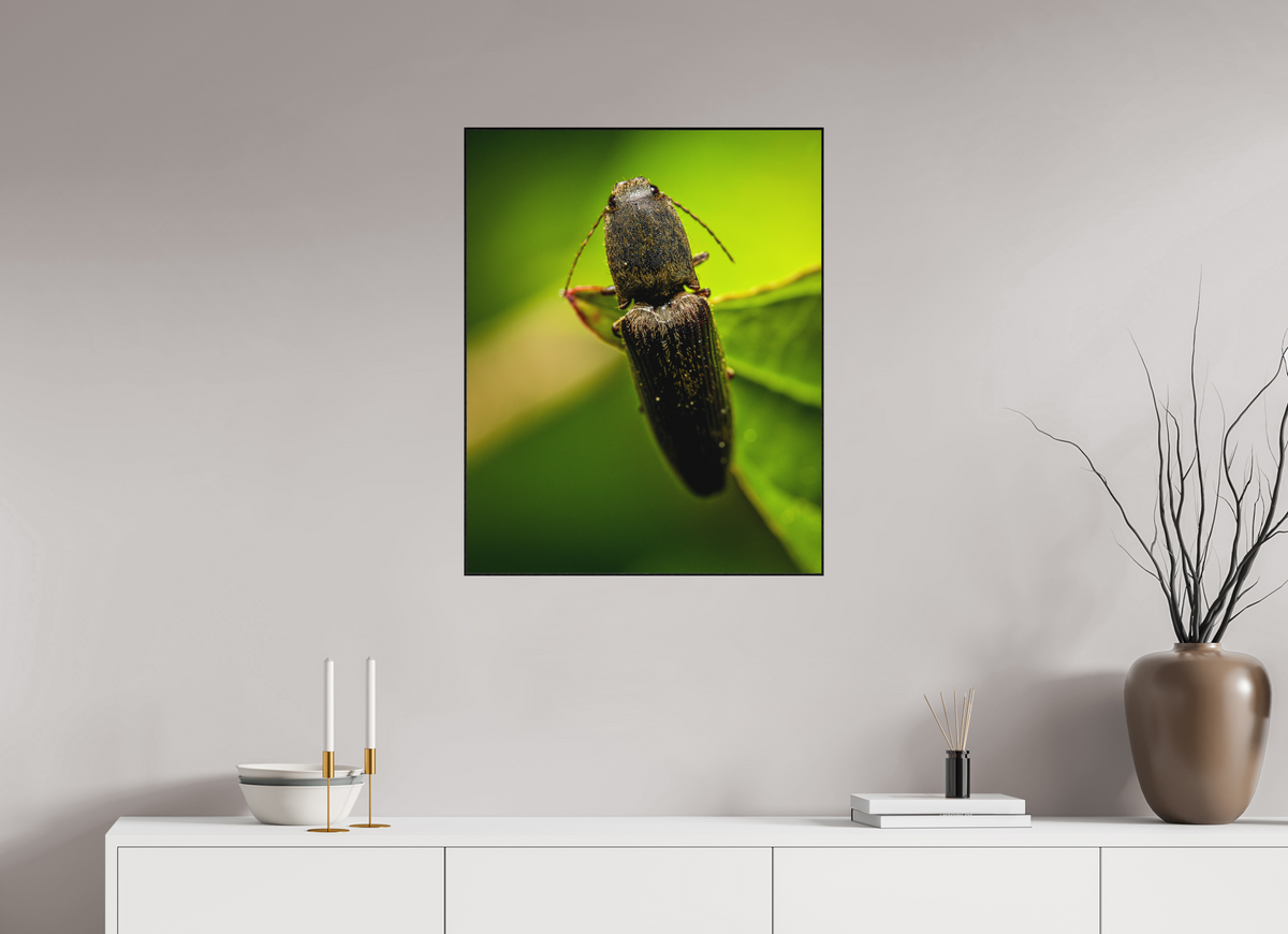 60 x 75 cm, Impression pigmentaire Fine Art sous plexi avec ArtBox en chêne massif noir 4mm ad