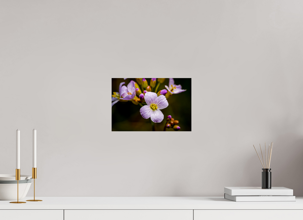 30 x 20 cm, Tirage photo métallisé sur papier Fuji Crystal Pearl Fleurs en poésie