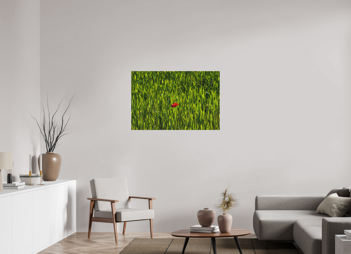 105 x 70 cm, Impression pigmentaire Fine Art sous plexi s