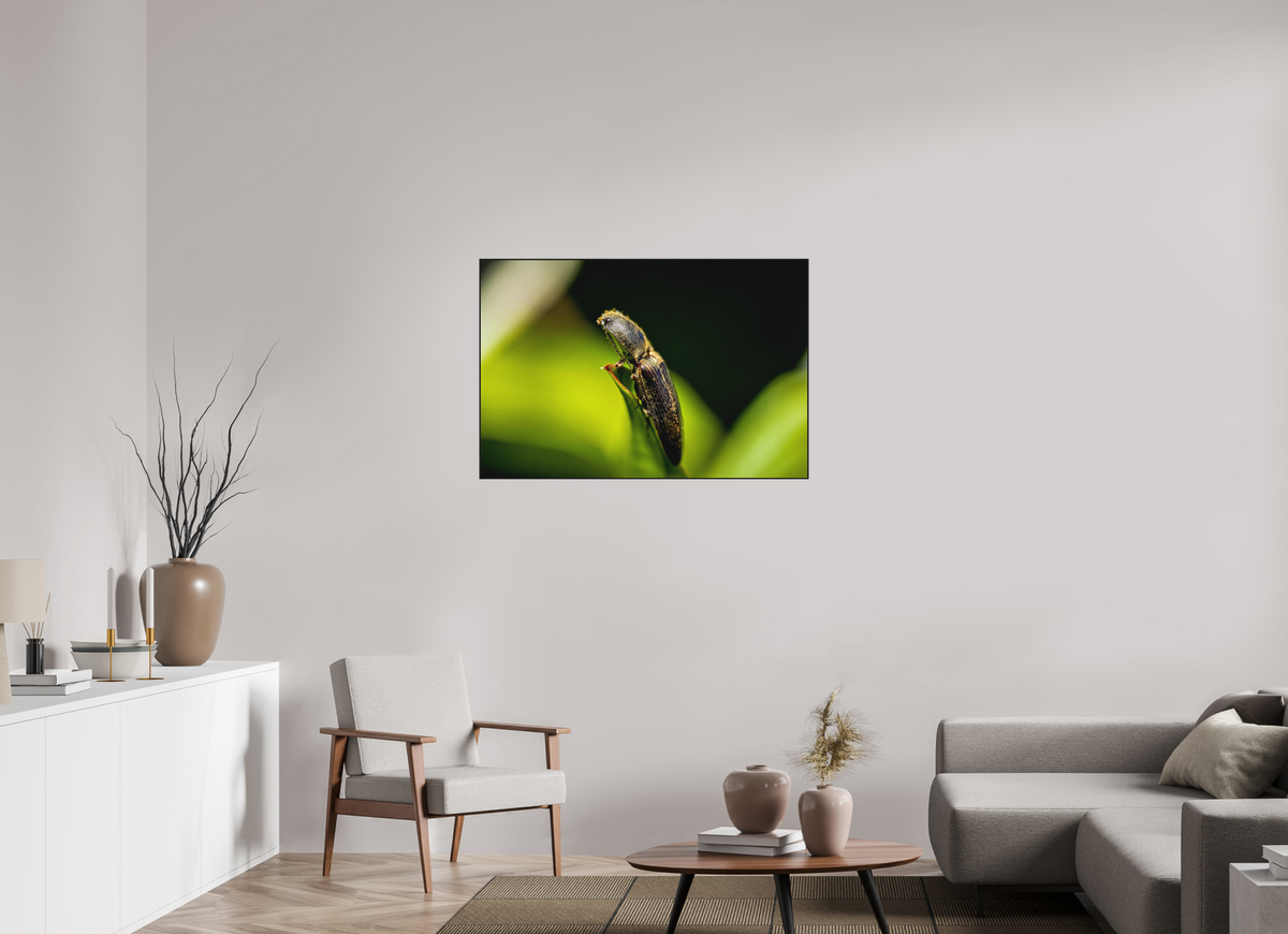 105 x 70 cm, Impression pigmentaire Fine Art sous plexi avec ArtBox en chêne massif noir 4mm ad