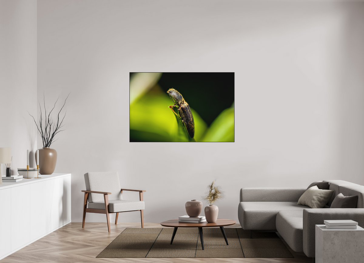 150 x 100 cm, Impression pigmentaire Fine Art sous plexi avec ArtBox en chêne massif noir 4mm ad