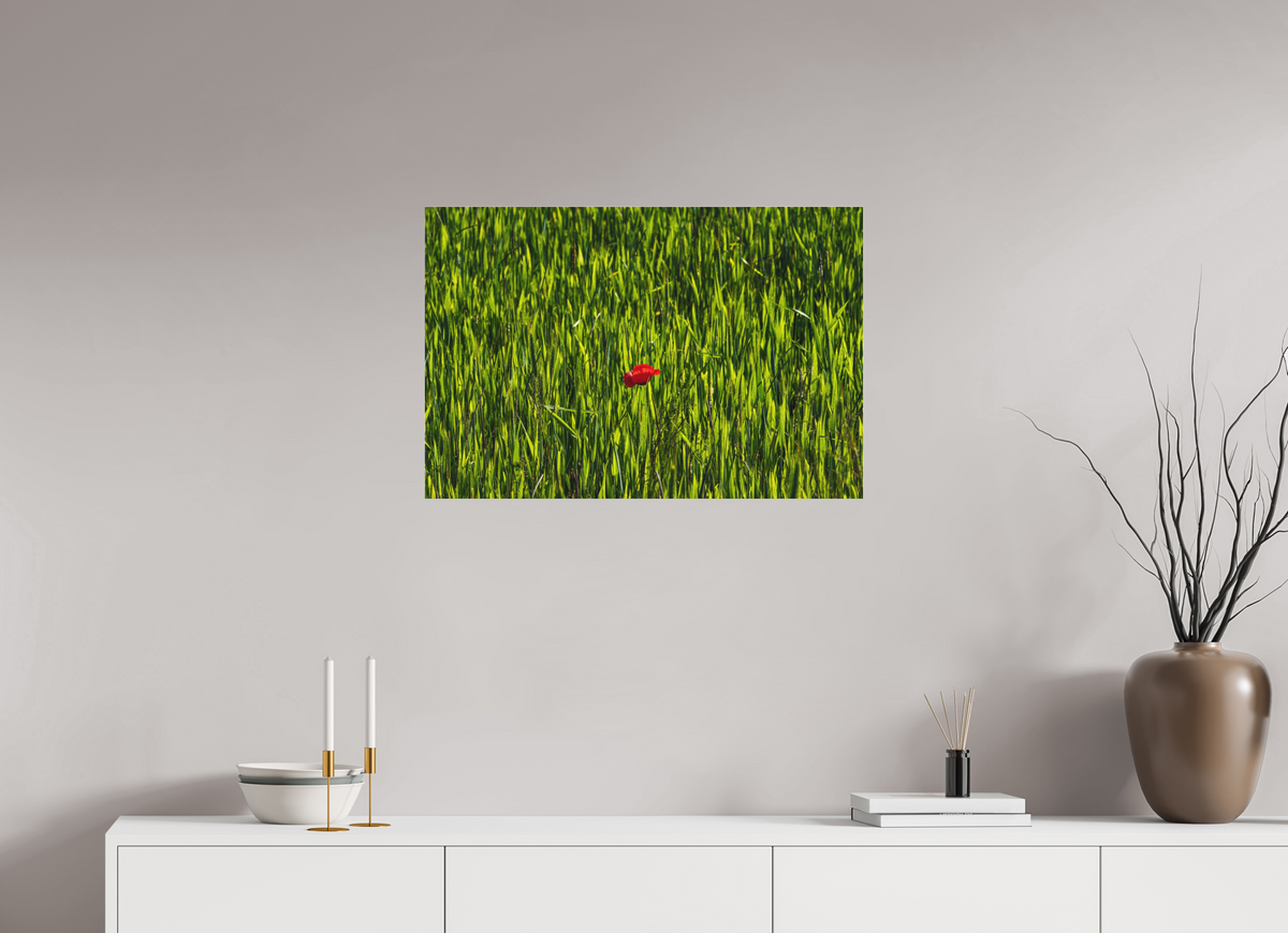 75 x 50 cm, Impression pigmentaire Fine Art sous plexi s