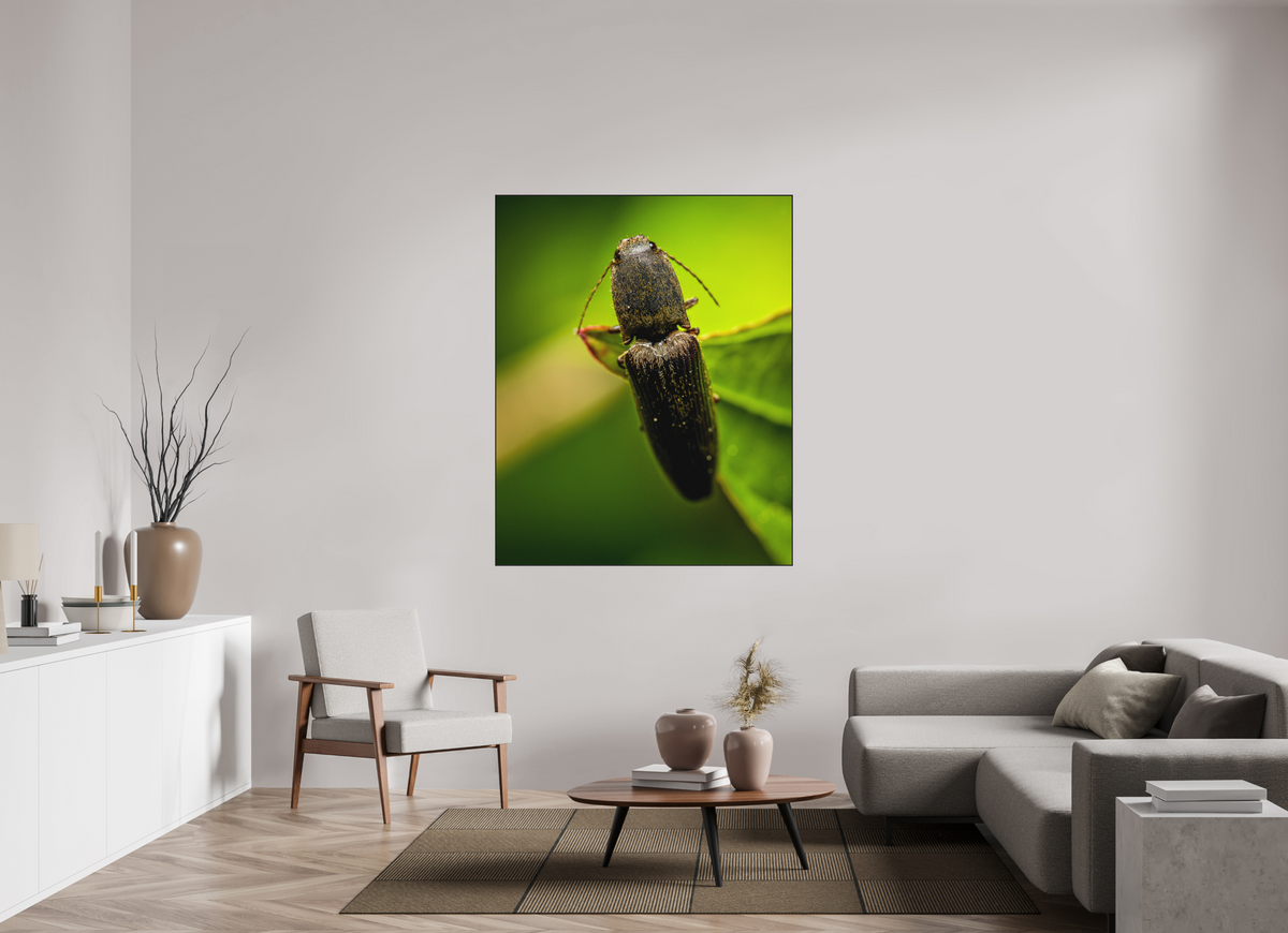 120 x 150 cm, Impression pigmentaire Fine Art sous plexi avec ArtBox en chêne massif noir 4mm ad