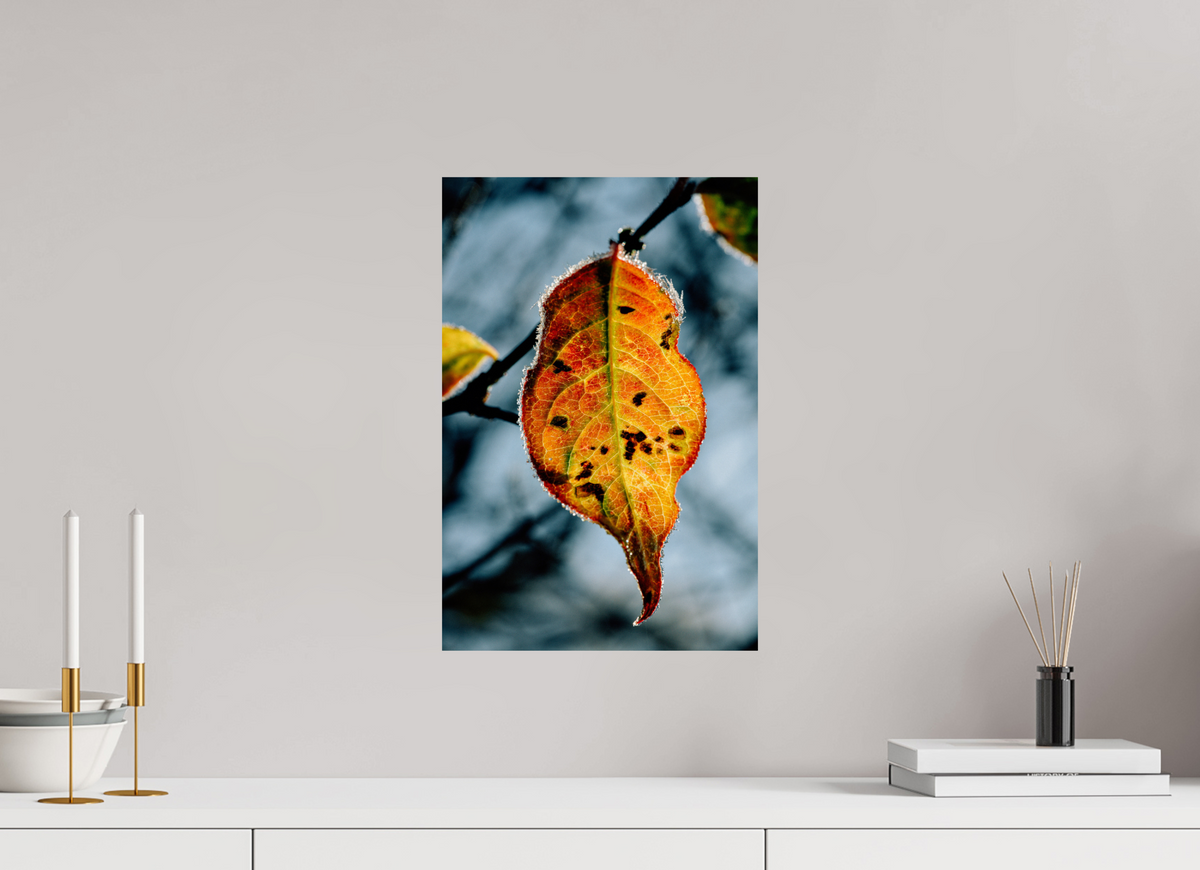 30 x 45 cm, Tirage photo métallisé sur papier Fuji Crystal Pearl Feuille orange d'hiver