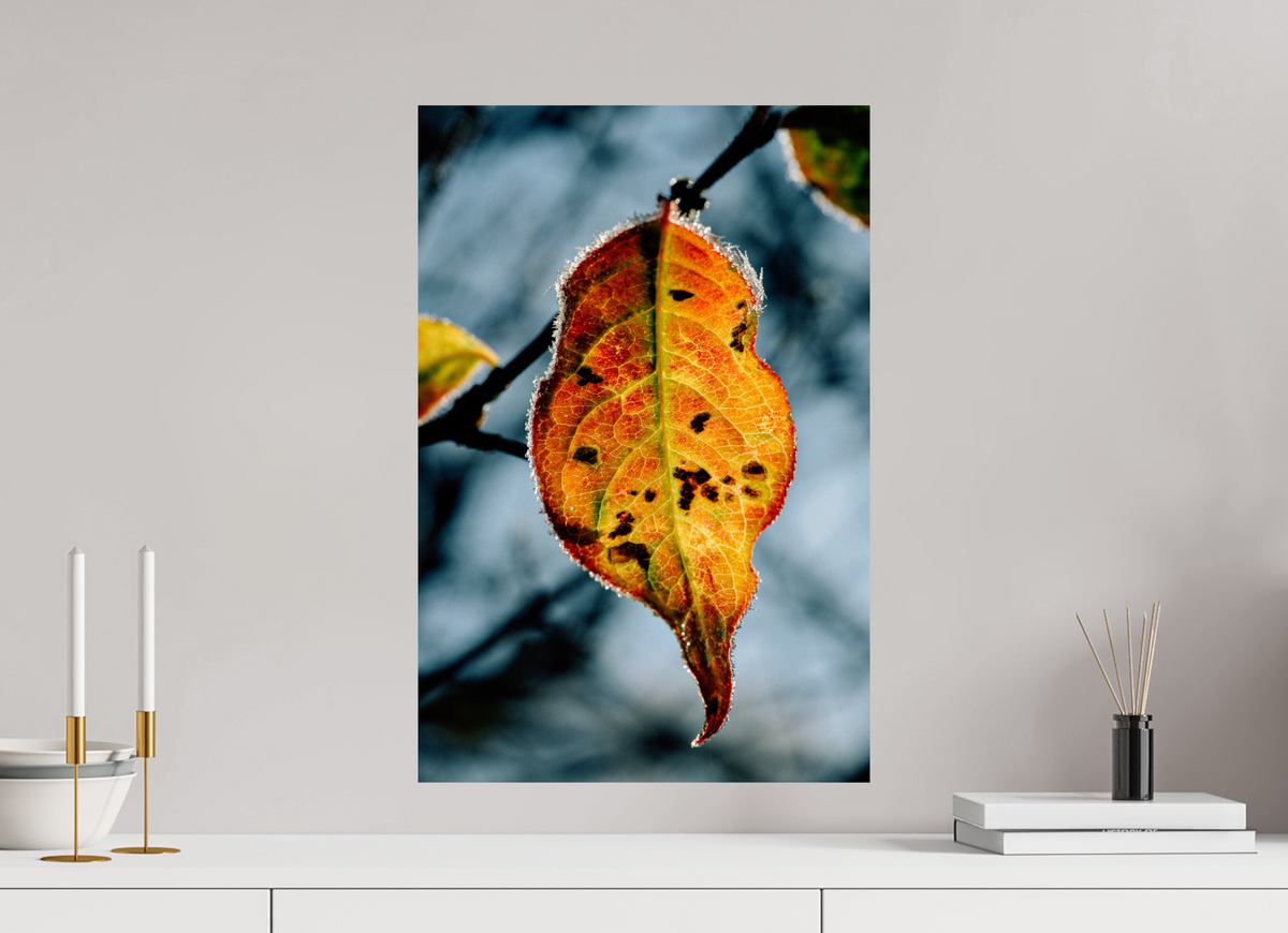40 x 60 cm, Tirage photo métallisé sur papier Fuji Crystal Pearl Feuille orange d'hiver