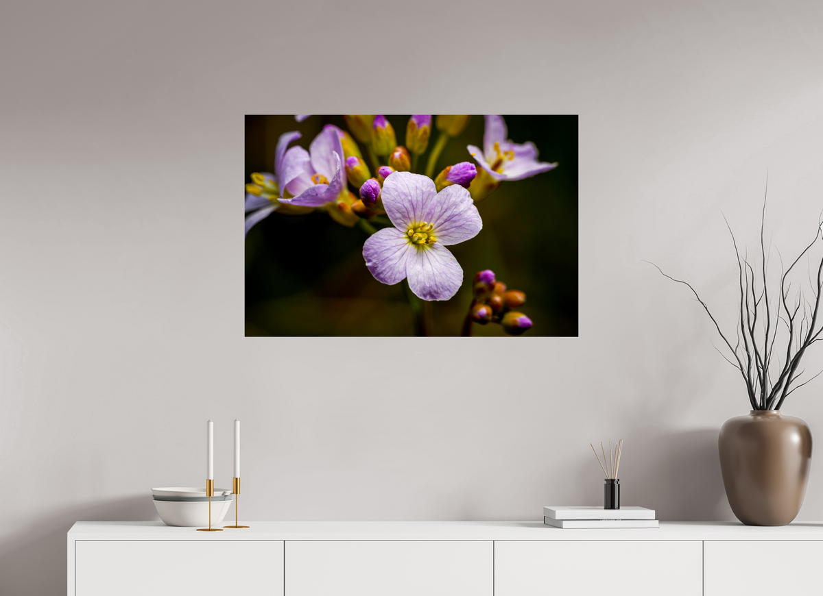 90 x 60 cm, Tirage photo métallisé sur papier Fuji Crystal Pearl Fleurs en poésie