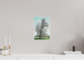 20 x 30 cm, Impression Fine Art sur Alu Dibond papier Hahnemühle Photo Rag Coton avec cadre en bois 4mm blanc Printemps de Courfaivre 2026 - I